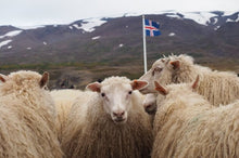 画像をギャラリービューアに読み込む, 【唯一の原種】アイスランド産ひつじ モモ肉 スライス (250g)
